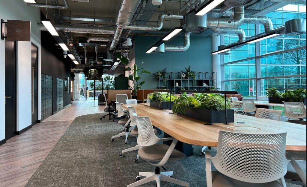 Office Rental Made Easy: Tips for Finding and Leasing Your Next Office